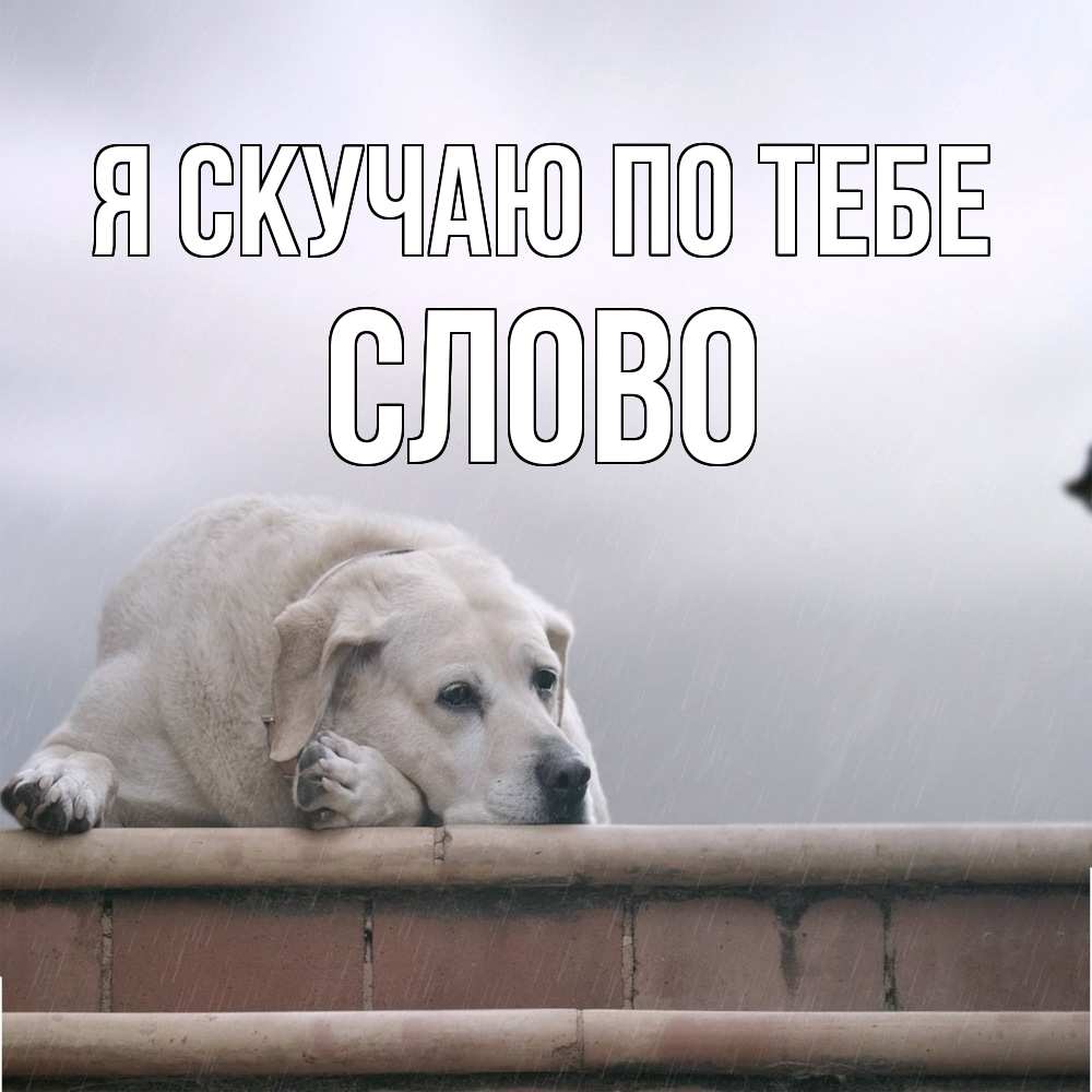 Открытка  с именем. слово, Я скучаю по тебе  