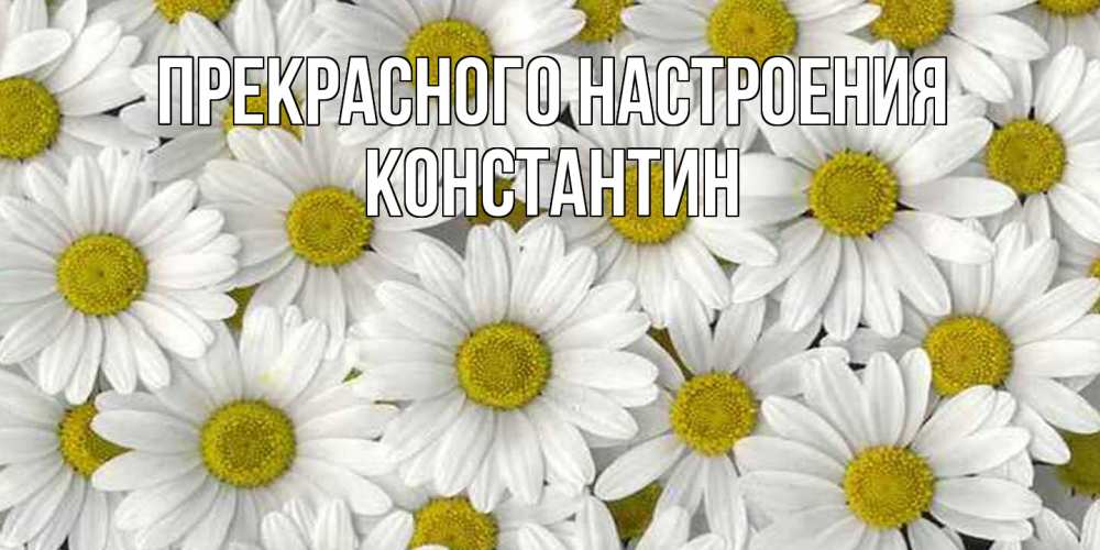 Открытка  с именем. Константин, Прекрасного настроения  