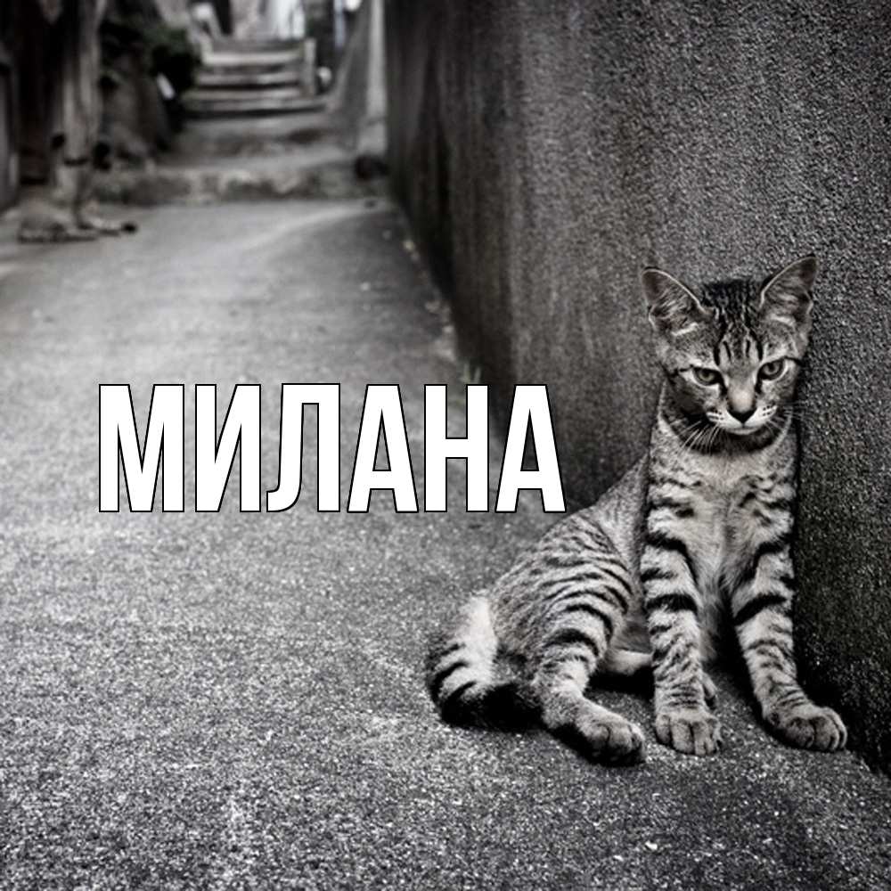 Открытка  с именем. Милана, Главная  