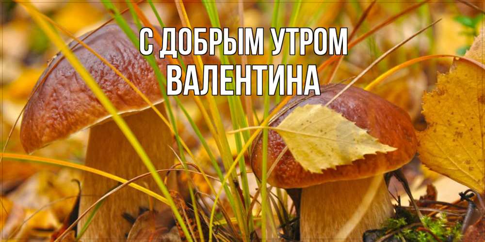Открытка  с именем. Валентина, С добрым утром  