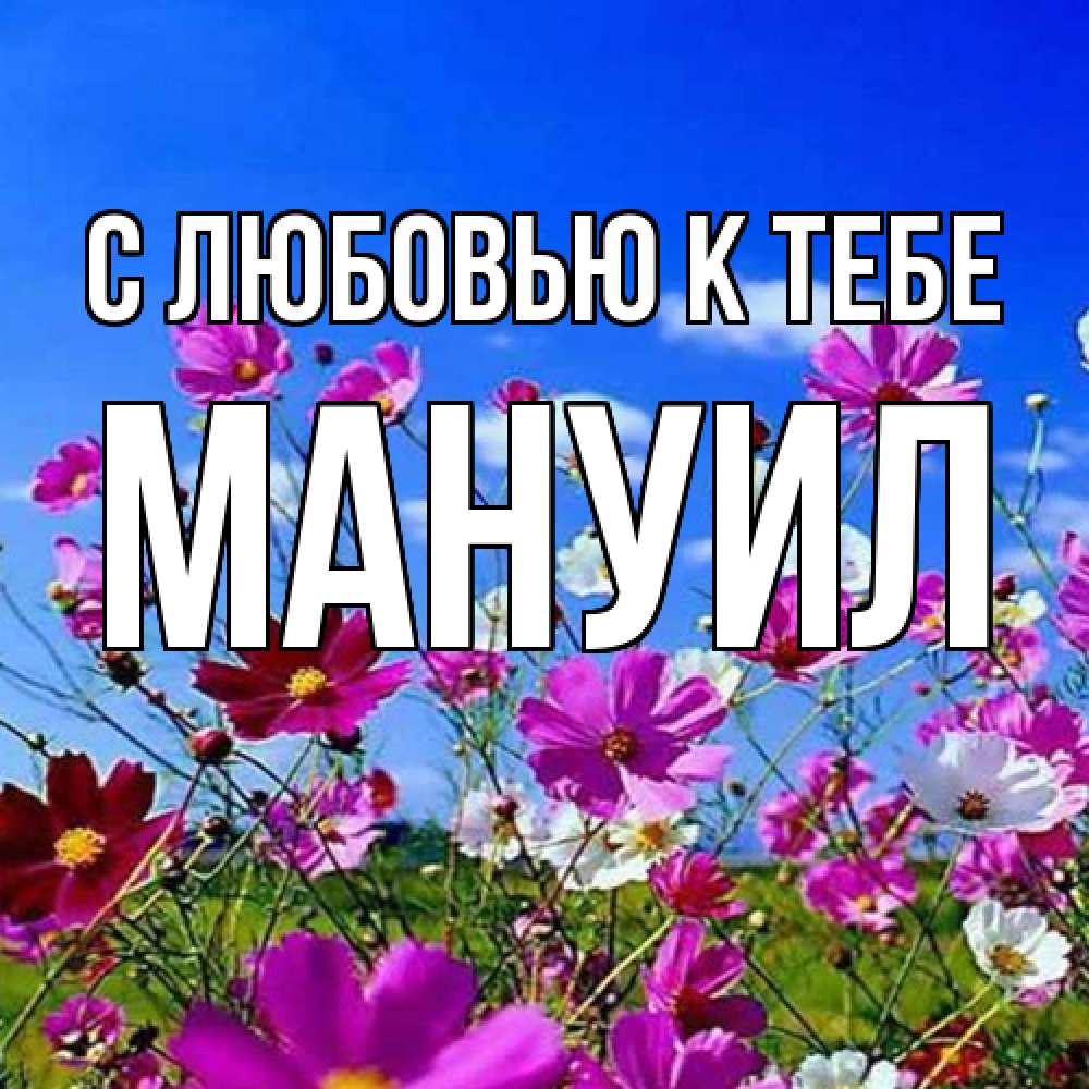 Открытка  с именем. Мануил, С любовью к тебе  