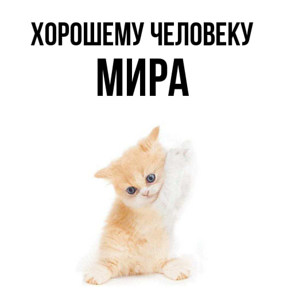 Открытка  с именем. Мира, Хорошему человеку  