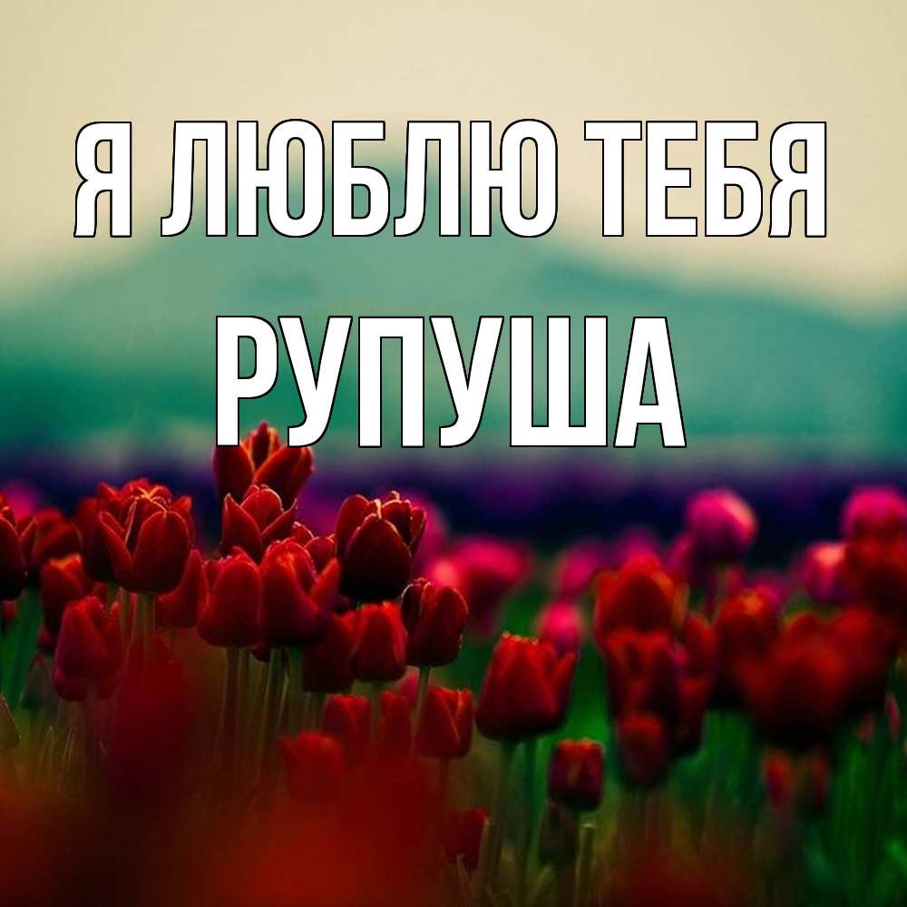 Открытка  с именем. Рупуша, Я люблю тебя  