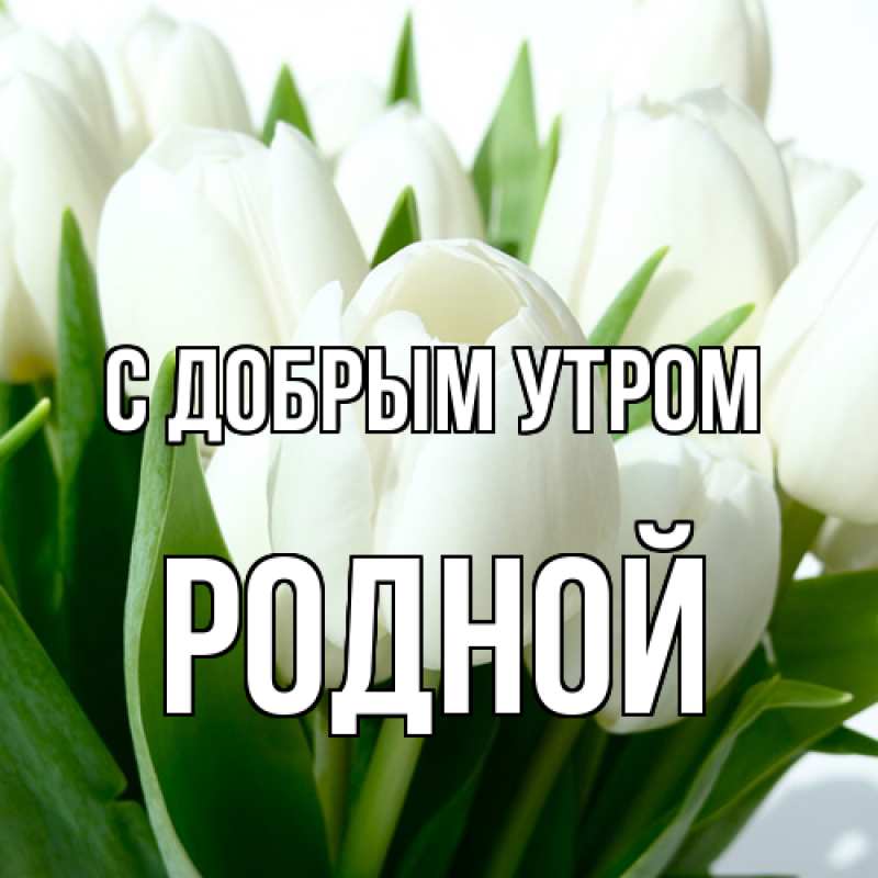 Картинка С добрым утром, Родной