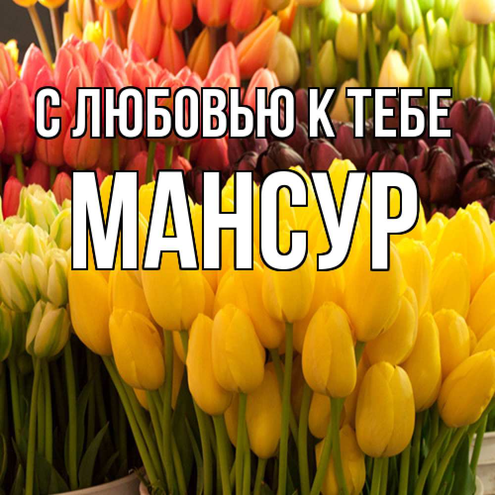 Открытка  с именем. Мансур, С любовью к тебе  