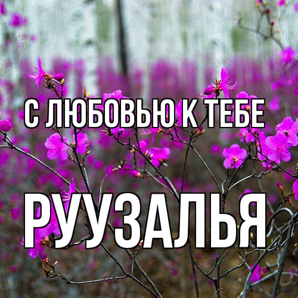 Открытка  с именем. Руузалья, С любовью к тебе  