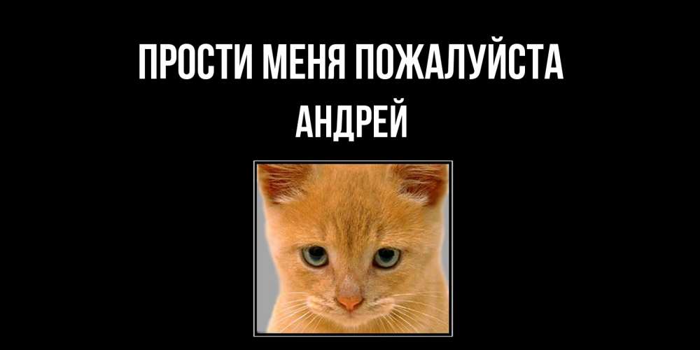 Открытка  с именем. Андрей, Прости меня пожалуйста  