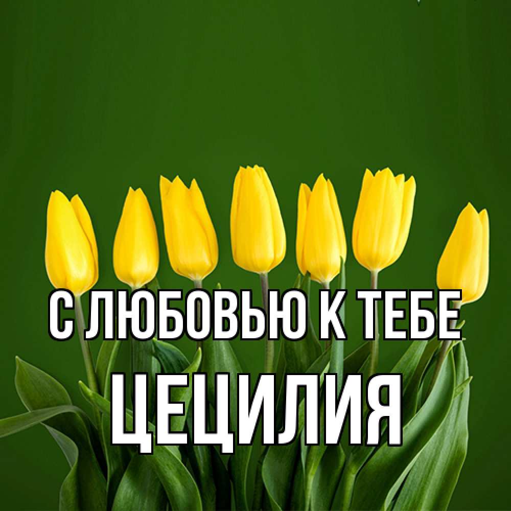 Открытка  с именем. Цецилия, С любовью к тебе  