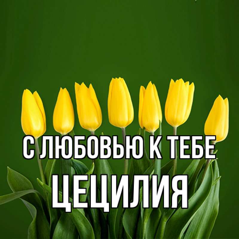 Картинка С любовью к тебе, Цецилия