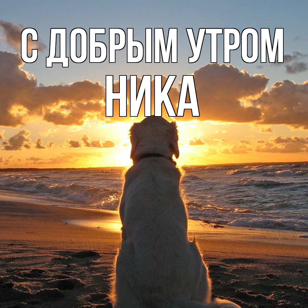 Открытка  с именем. Ника, С добрым утром  