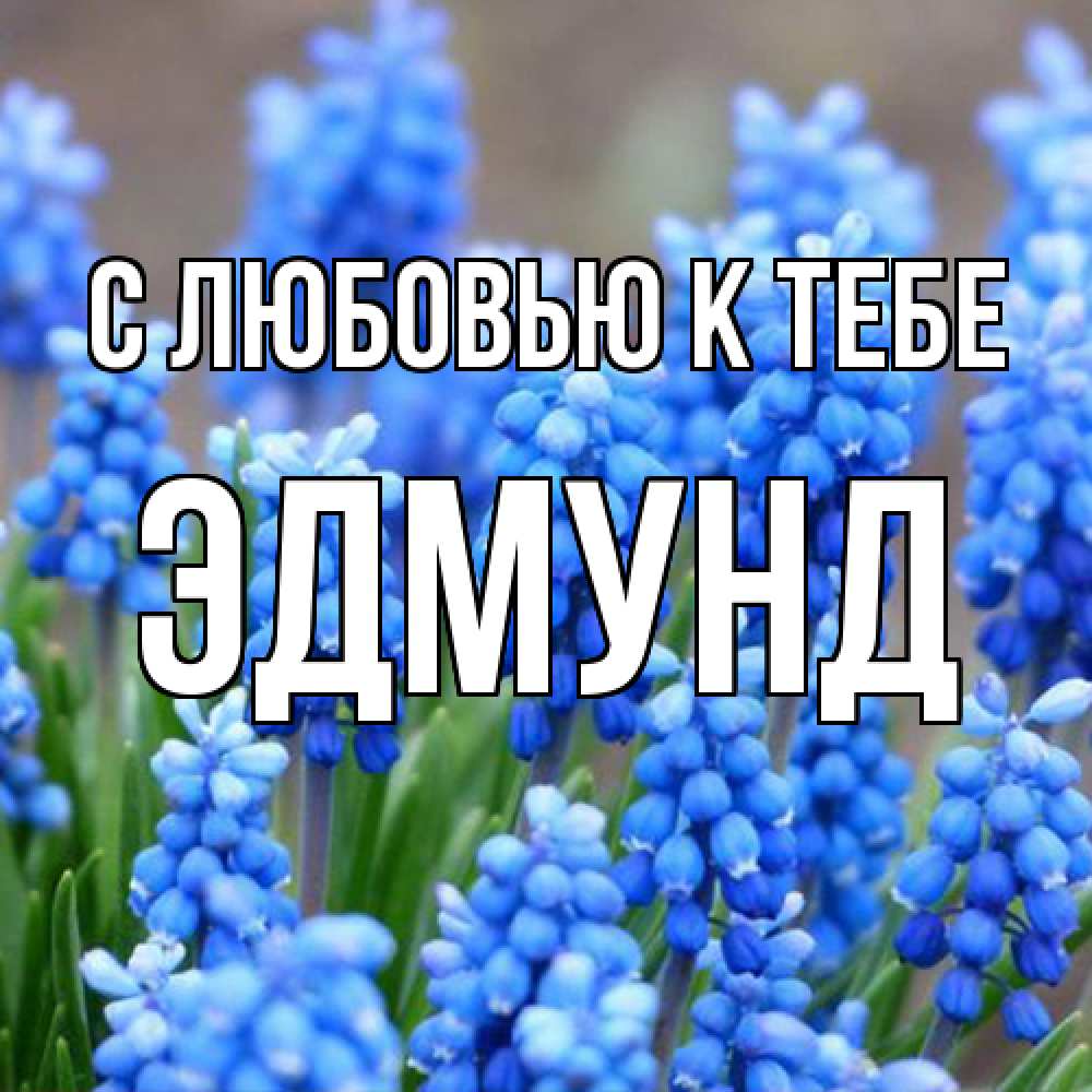 Открытка  с именем. Эдмунд, С любовью к тебе  