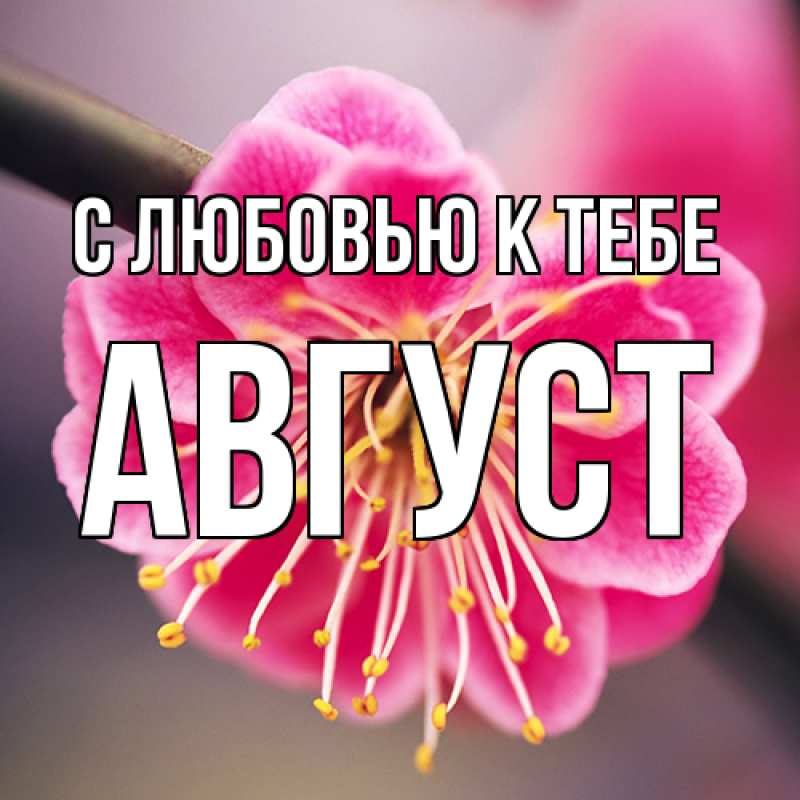 Картинка С любовью к тебе, Август