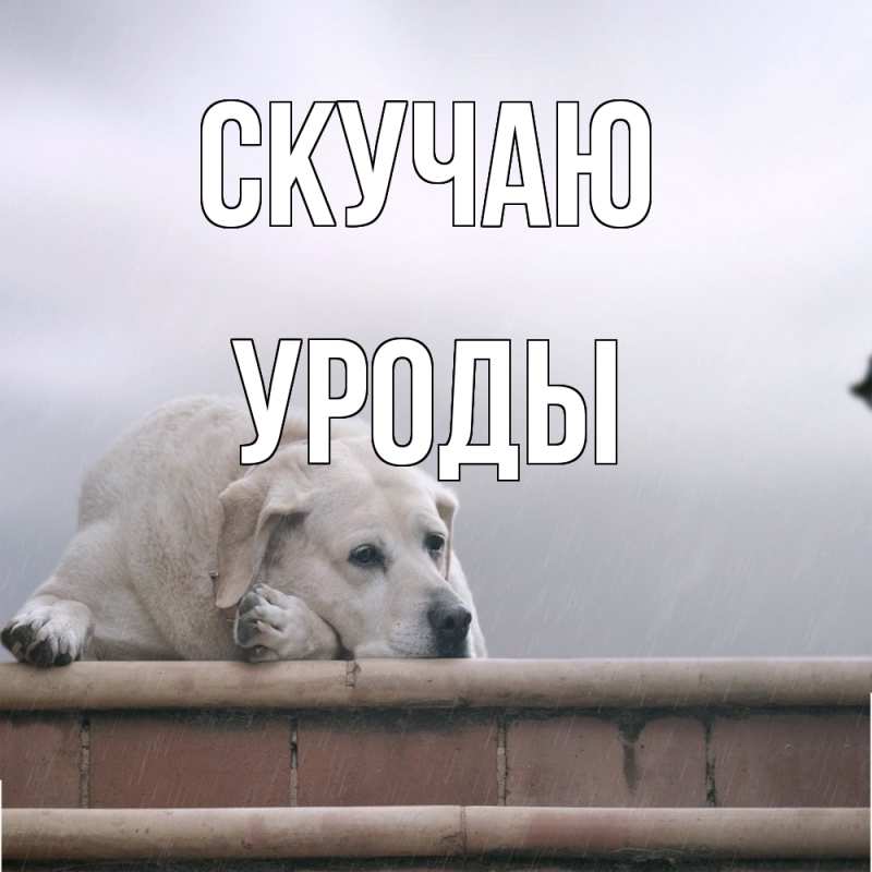Картинка Скучаю, уроды