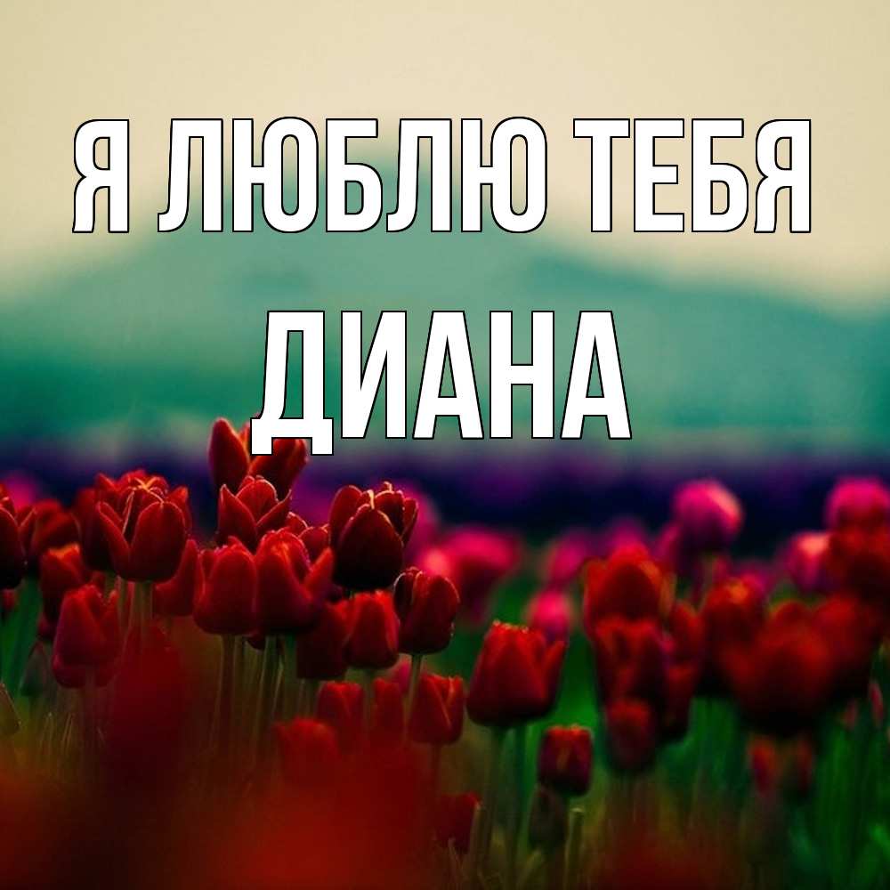 Открытка  с именем. Диана, Я люблю тебя  