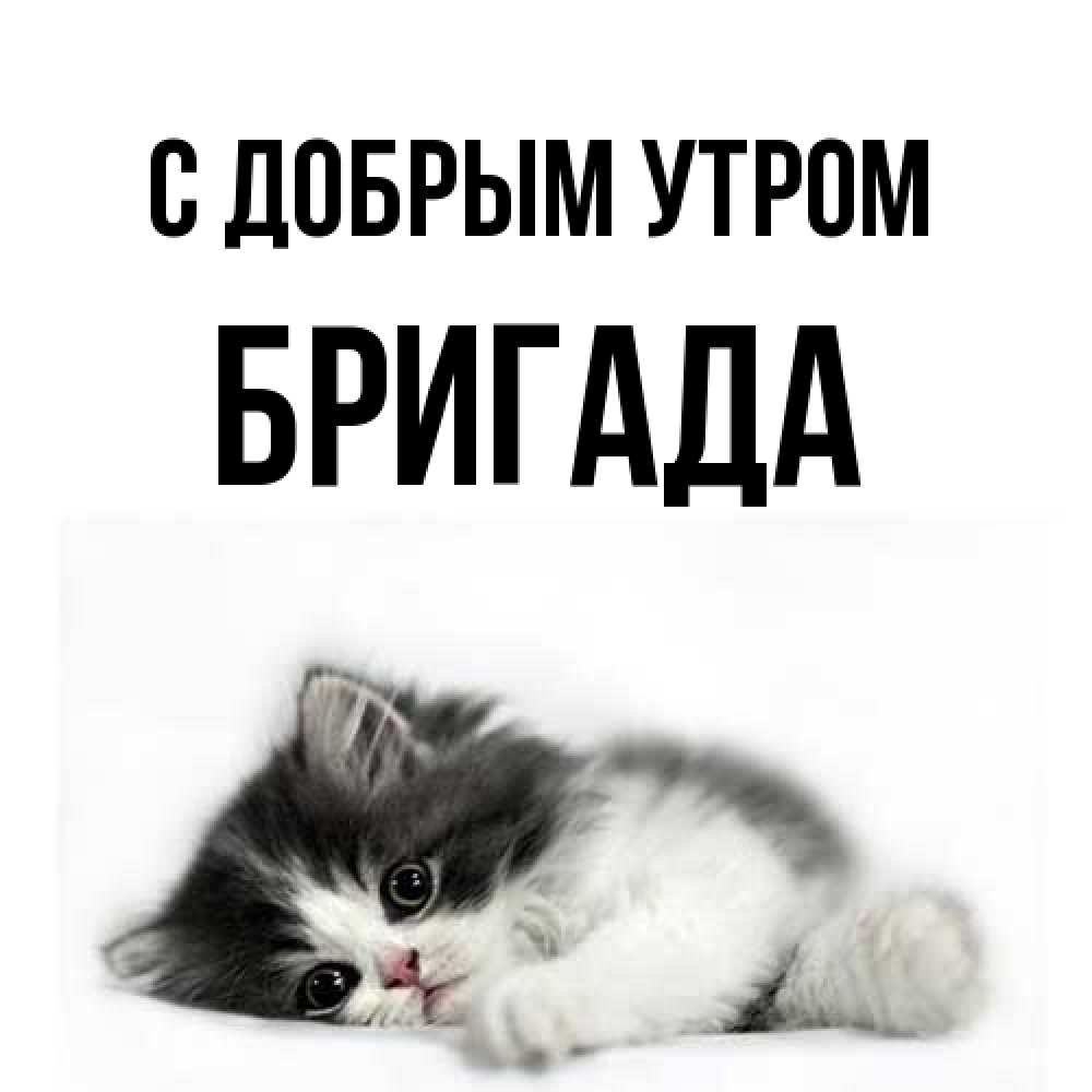 Открытка  с именем. Бригада, С добрым утром  