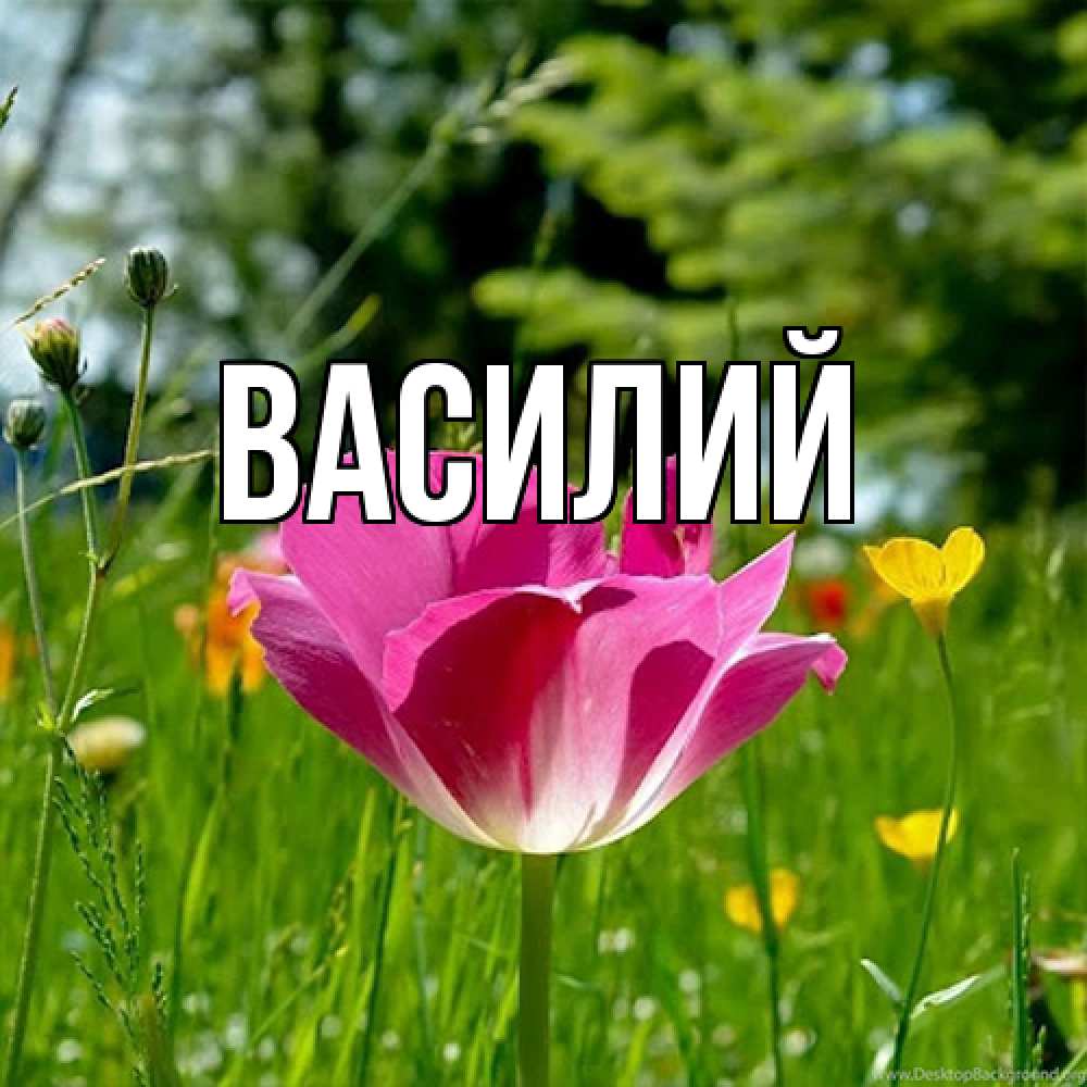 Открытка  с именем. Василий, Главная  