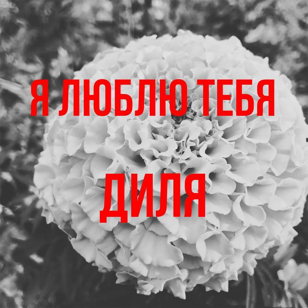 Открытка  с именем. Диля, Я люблю тебя  