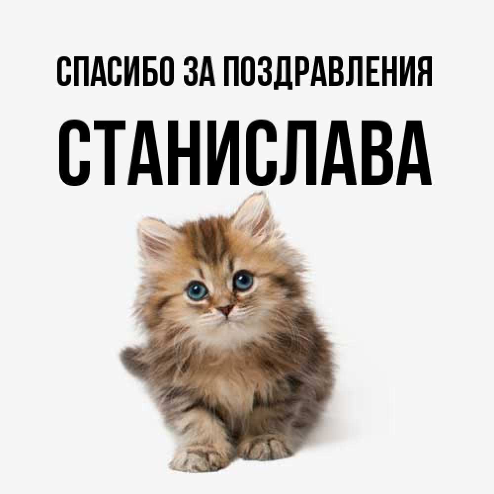 Открытка  с именем. Станислава, Спасибо за поздравления  