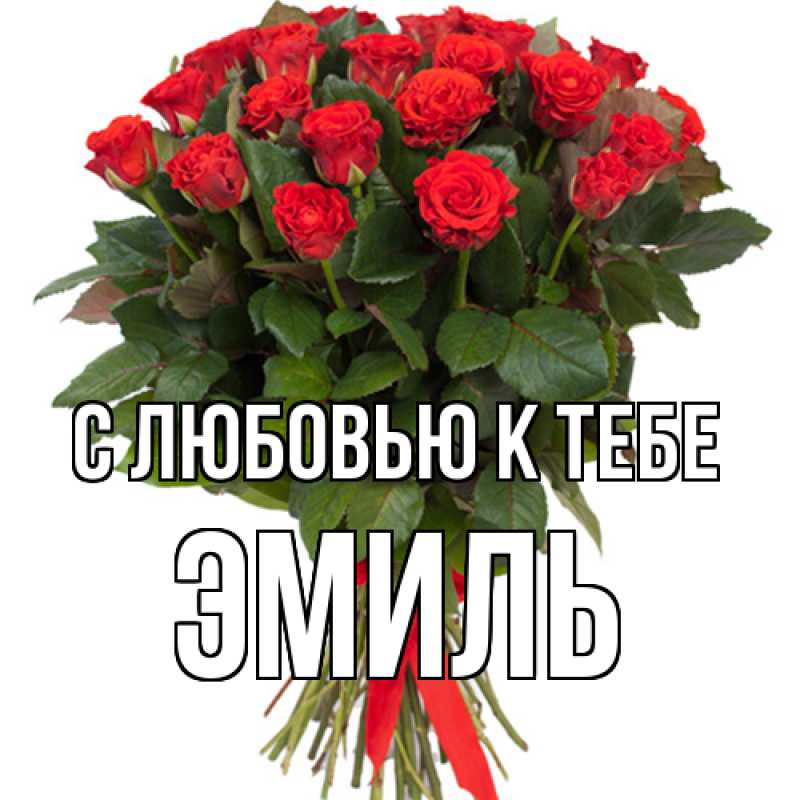 Картинка С любовью к тебе, Эмиль