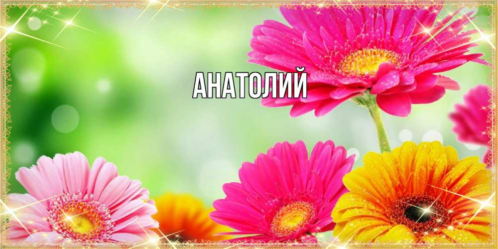 Открытка  с именем. Анатолий, Главная  