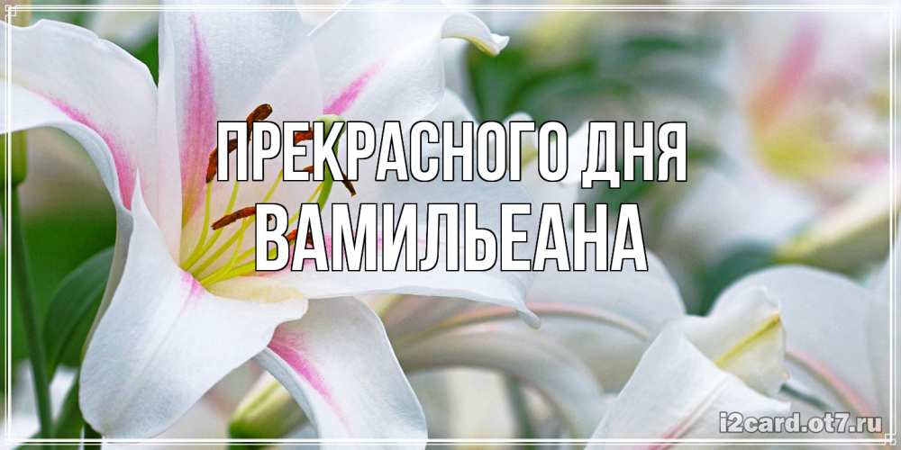 Открытка  с именем. Вамильеана, Прекрасного дня  