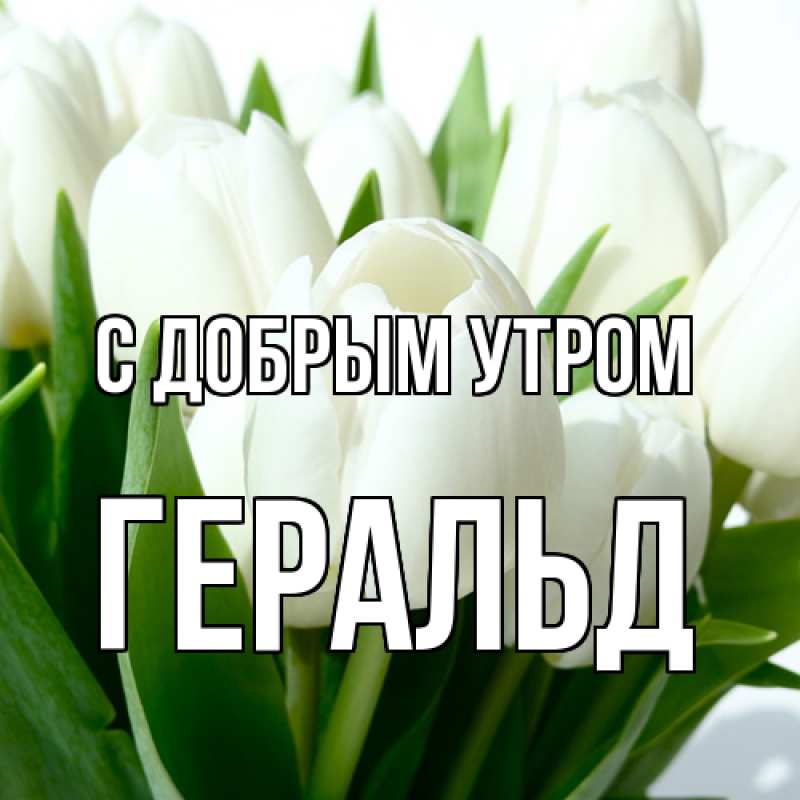 Картинка С добрым утром, Геральд