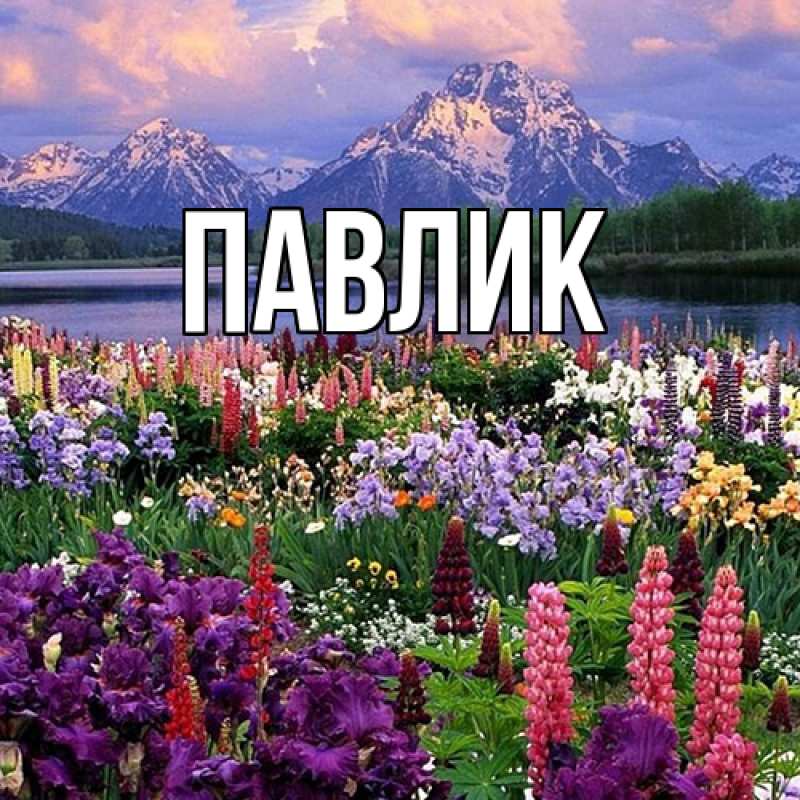 Картинка  с именем , Павлик
