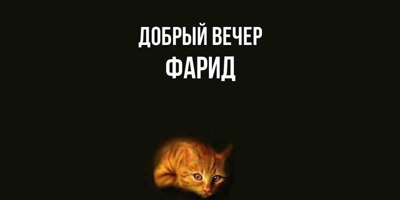 Картинка Добрый вечер, Фарид