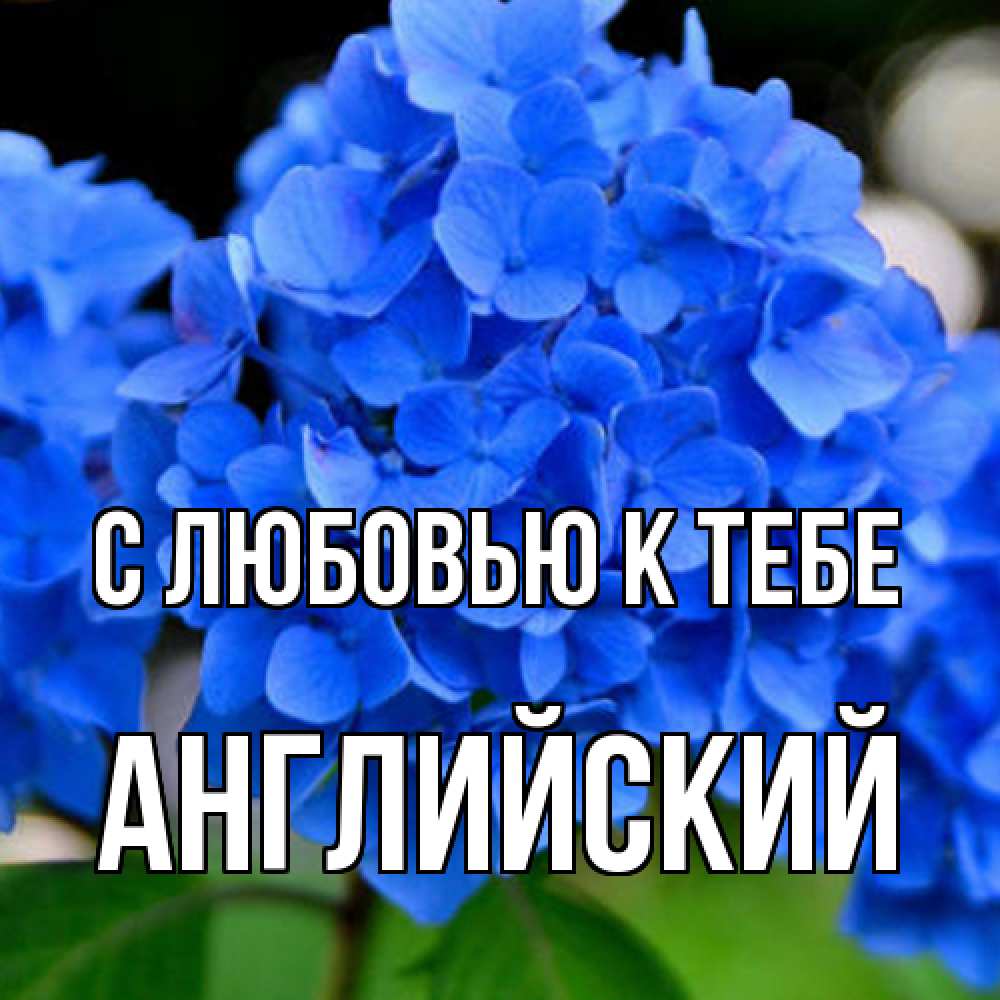Открытка  с именем. Английский, С любовью к тебе  