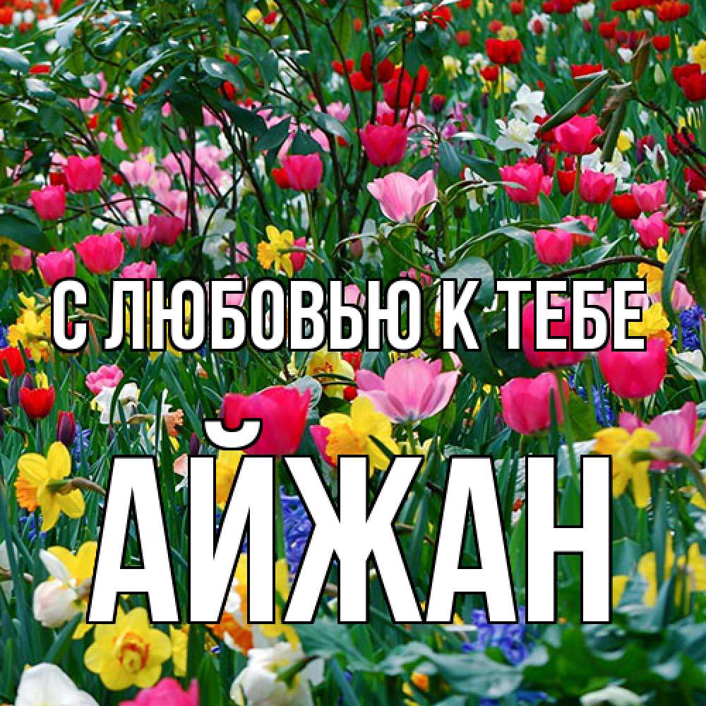 Открытка  с именем. Айжан, С любовью к тебе  