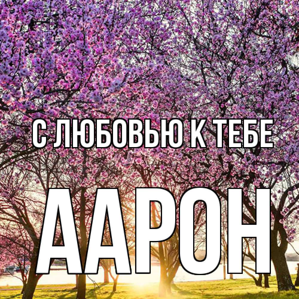 Открытка  с именем. Аарон, С любовью к тебе  