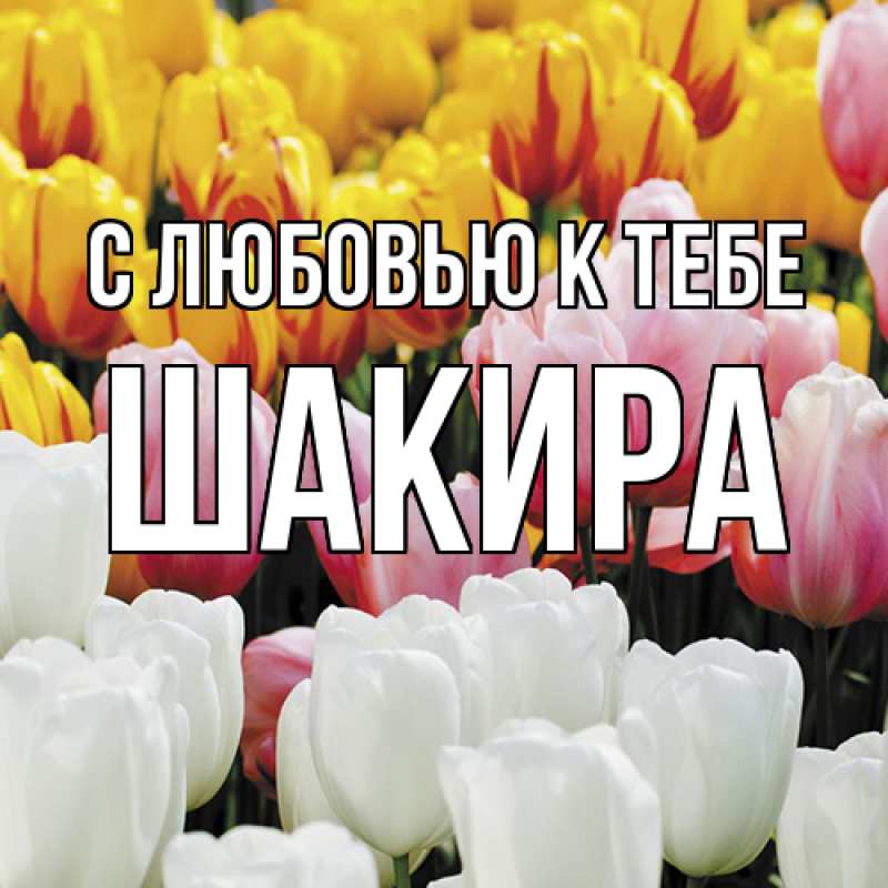 Картинка С любовью к тебе, Шакира