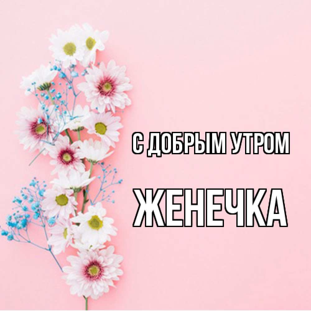 Открытка  с именем. Женечка, С добрым утром  