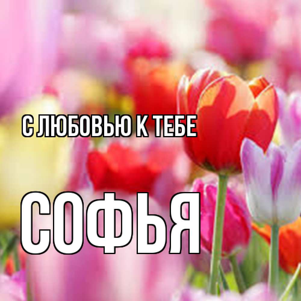 Открытка  с именем. Софья, С любовью к тебе  