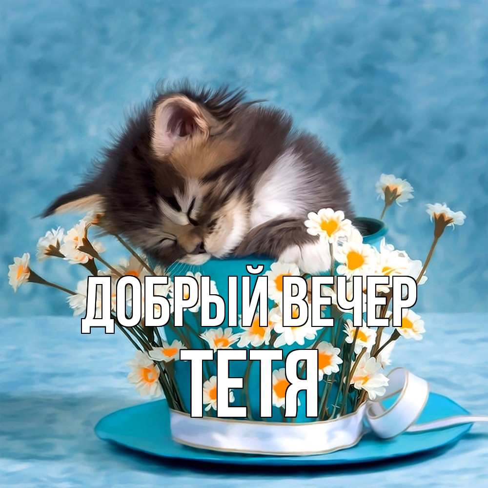 Открытка  с именем. Тетя, Добрый вечер  