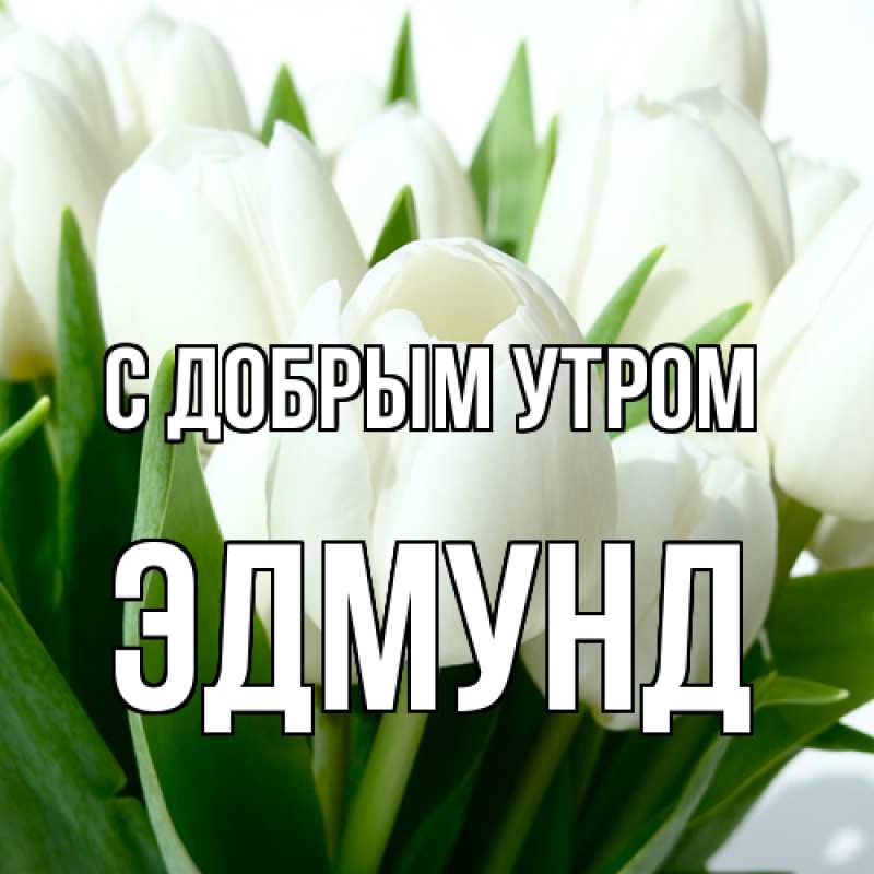 Картинка С добрым утром, Эдмунд