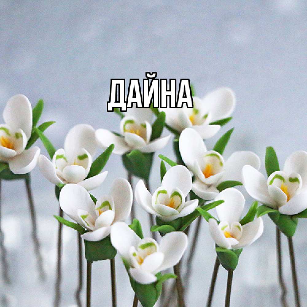 Открытка  с именем. Дайна, Главная  