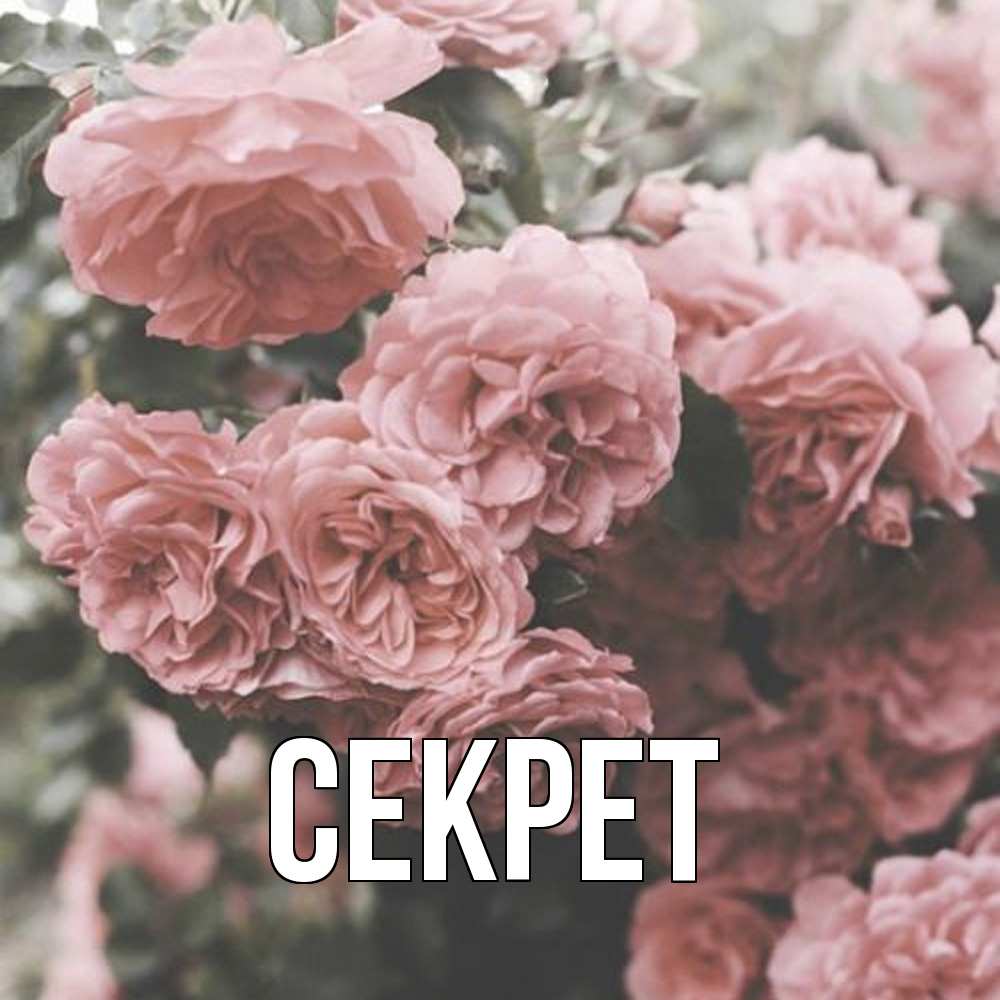 Открытка  с именем. Секрет, Главная  