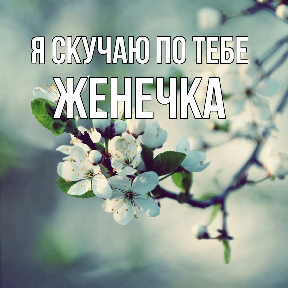 Открытка  с именем. Женечка, Я скучаю по тебе  