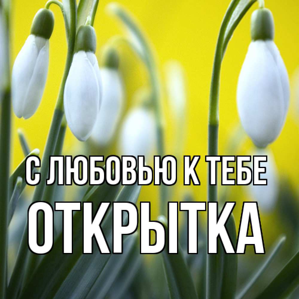 Открытка  с именем. открытка, С любовью к тебе  