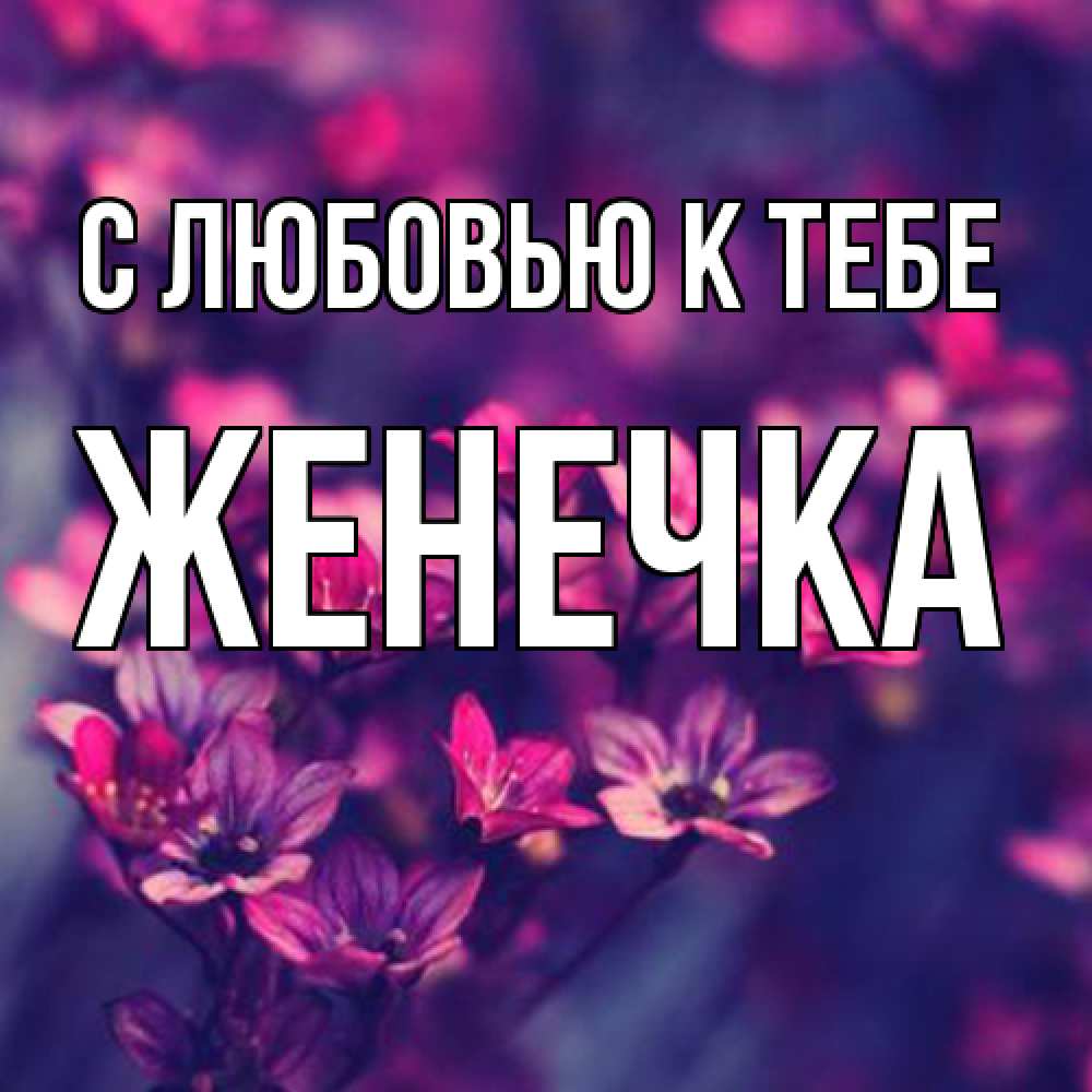 Открытка  с именем. Женечка, С любовью к тебе  