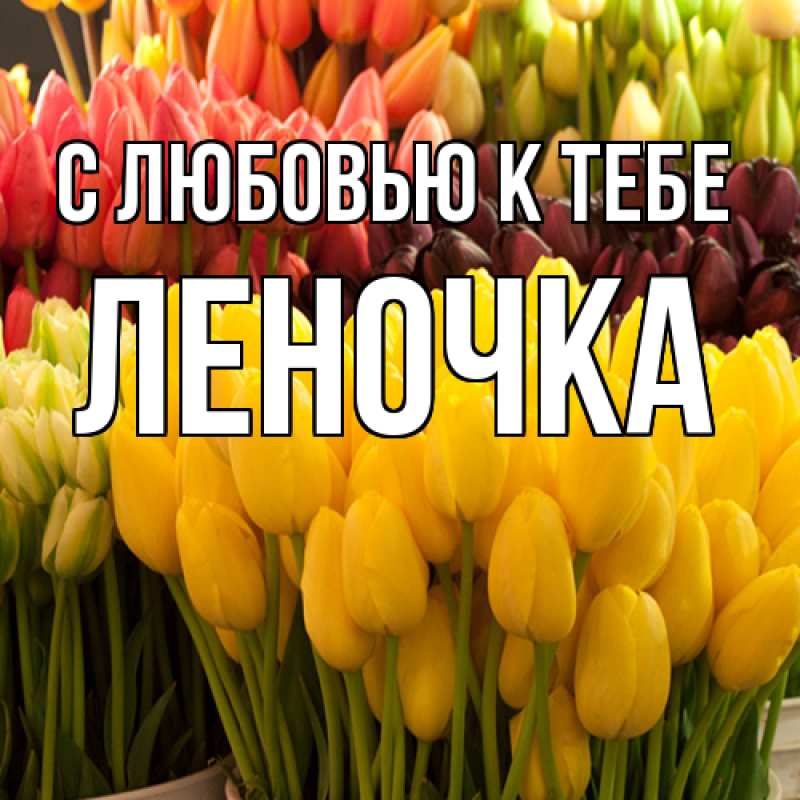 Картинка С любовью к тебе, ЛЕНОЧКА