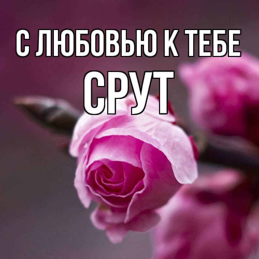 Открытка  с именем. срут, С любовью к тебе  