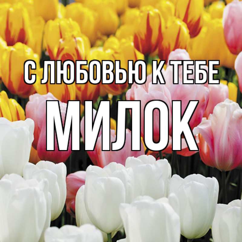 Картинка С любовью к тебе, Милок