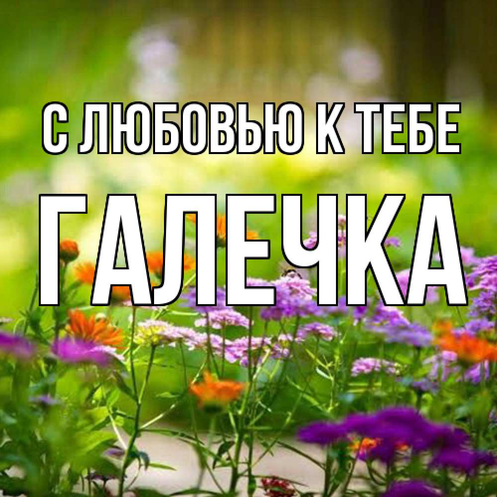 Открытка  с именем. Галечка, С любовью к тебе  