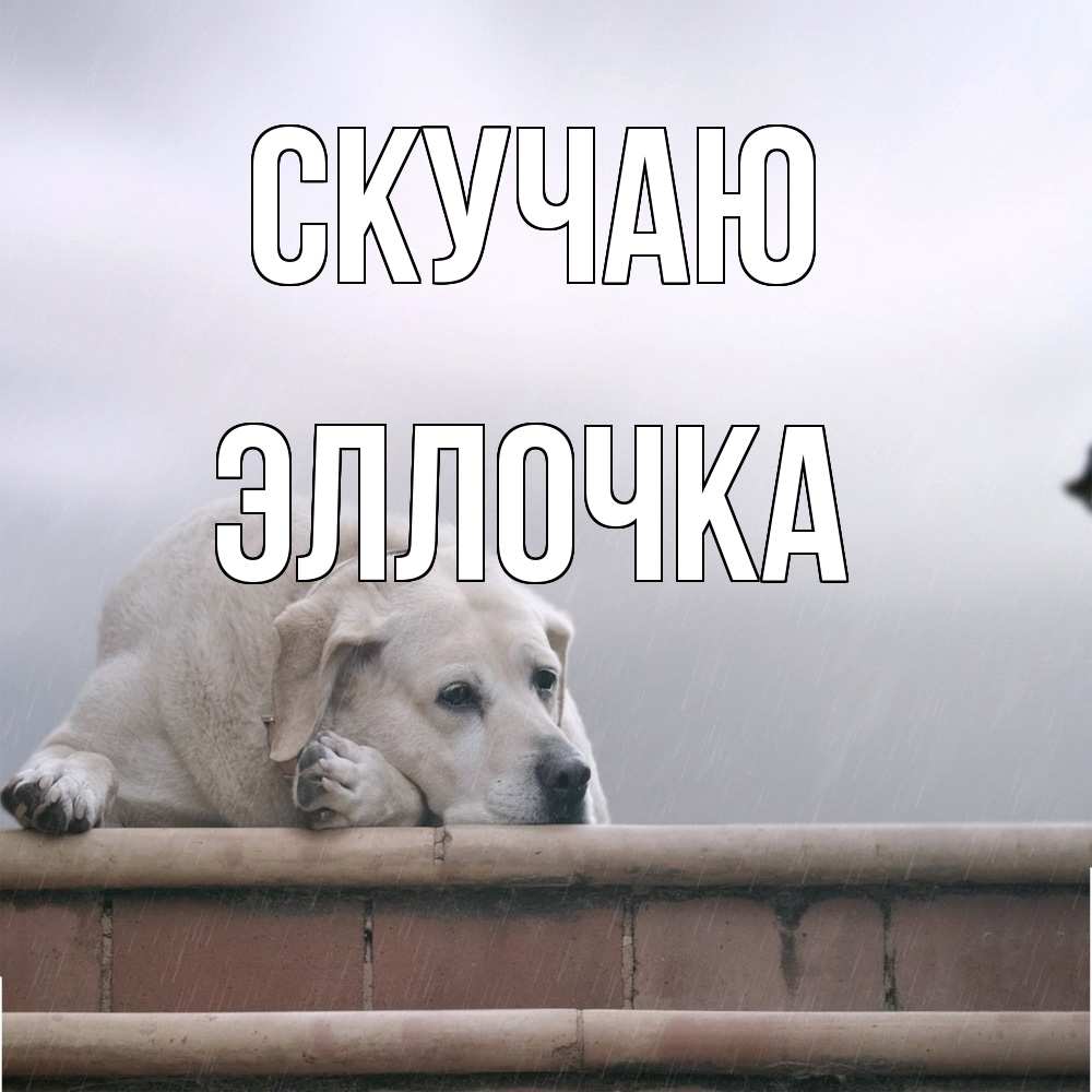 Открытка  с именем. Эллочка, Скучаю  