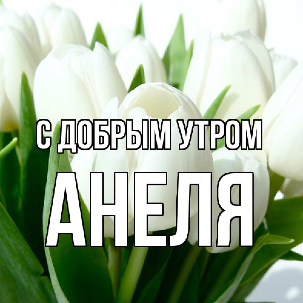 Открытка  с именем. Анеля, С добрым утром  