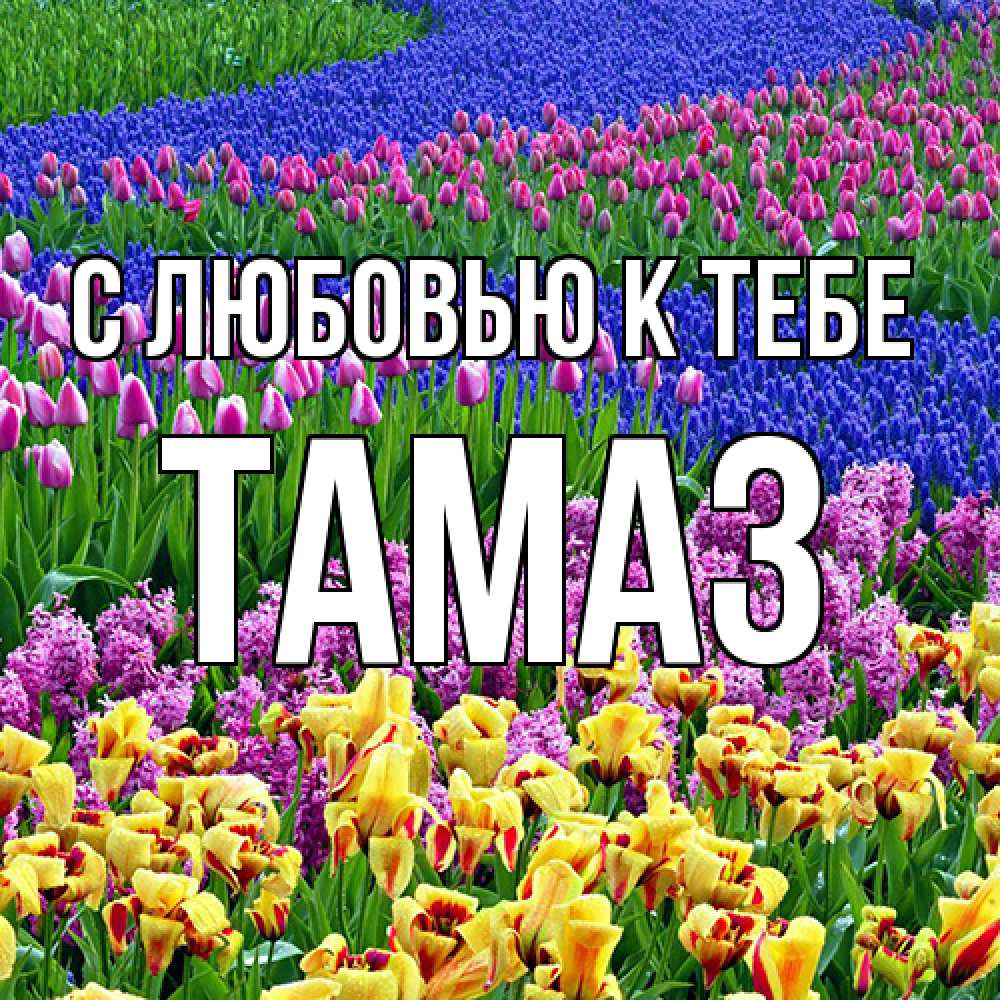 Открытка  с именем. Тамаз, С любовью к тебе  