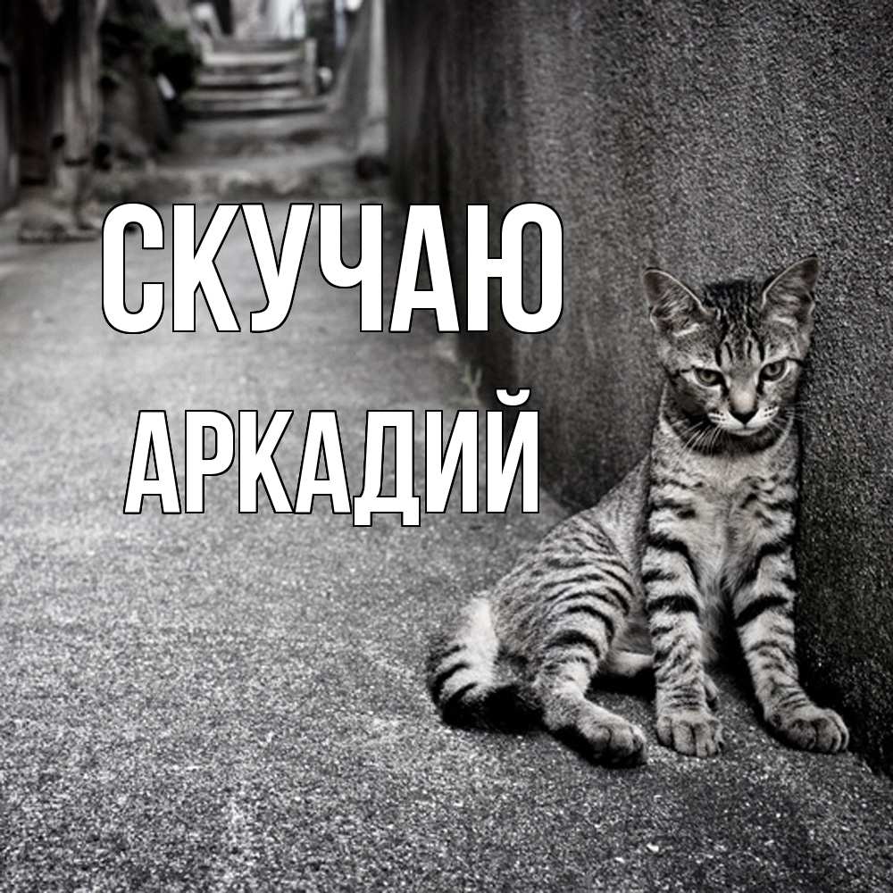 Открытка  с именем. Аркадий, Скучаю  