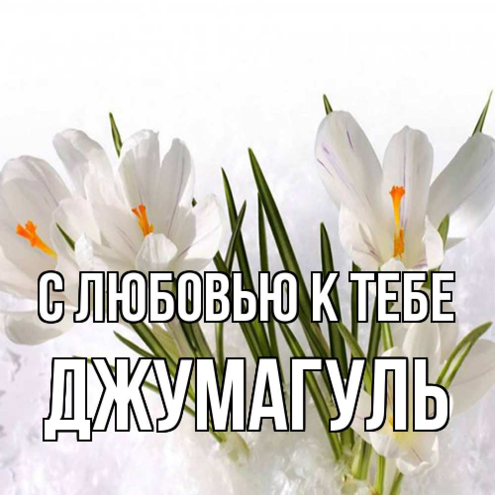 Открытка  с именем. Джумагуль, С любовью к тебе  